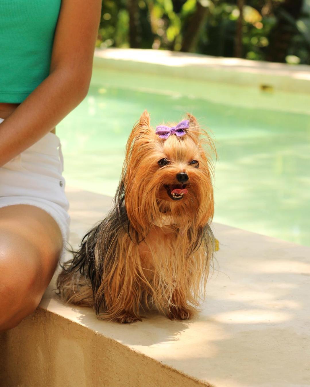 Piedra De Agua Palenque Hotel ภายนอก รูปภาพ