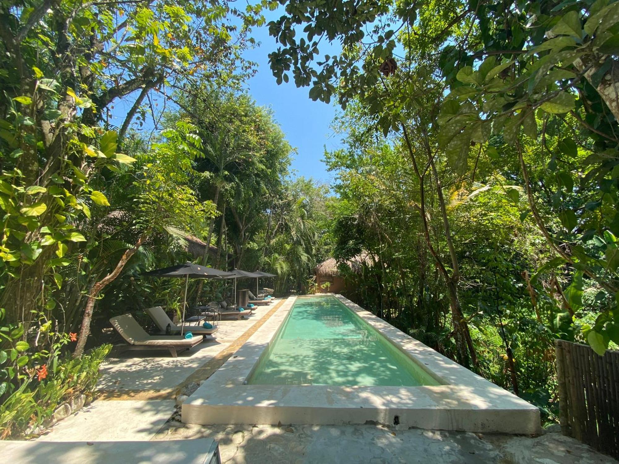Piedra De Agua Palenque Hotel ภายนอก รูปภาพ